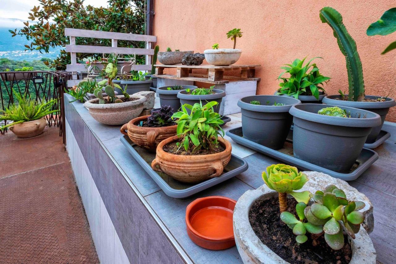 Bnb Casa Rossa Monreale Ngoại thất bức ảnh